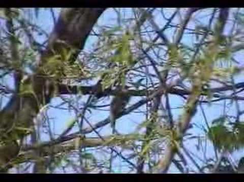 forsyth county ga forsyth county ga