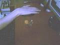 Telekinesis-Ball-Jum