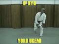 Yoko Ukemi