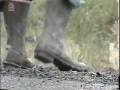 videos de Simple