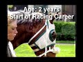 Life of a Race Horse Life of a Race Horse