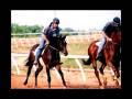 Life of a Race Horse