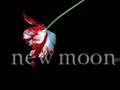videos de Twilight Sequel Made Into A Movie!!!