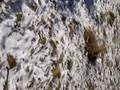 andando na neve