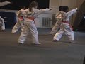 Green Belt Tae Kwon Do Test Green Belt Tae Kwon Do Test