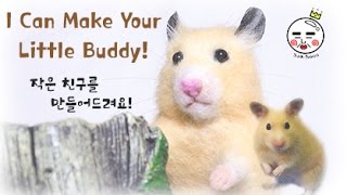 Special Announcement!