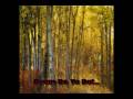 videos de Boreal Forest Biome