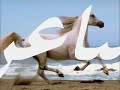 الأمير خالدالفيصل قصيدة احذر عدوك