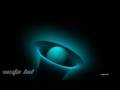 Worm Hole