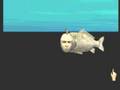 Seaman video 1a