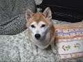 １０月のりょう