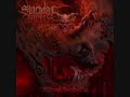 Suicidal Angels