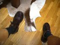 took off my prosthetic leg... took off my prosthetic leg...