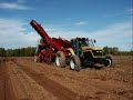 Combine & Tractor Picture Collection 2