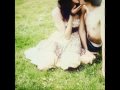 TitãsPorque Eu Sei Que é Amor Andrezinho um &terno Romântico