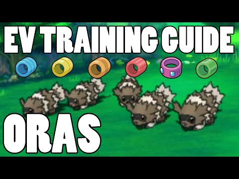 how to ev train pokemon