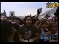 Tremenda Korte - Vive Latino