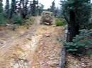 Champion Spur Trk