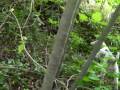 SANY0222