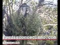 Puesto perdizconreclamo 1ª parte