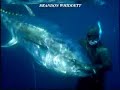 Brandon Whiddett 229 kgs Tuna Fish hunt