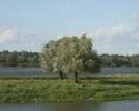 Wesolych Swiat Wesolych Swiat