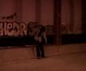 Shon Wil  GO HARD  Music Video