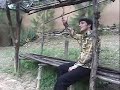 trilce