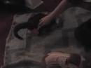 Afer E Granny gets brushed
