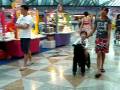 Suntec City Mall