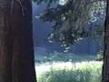The value of an outdoor classroom