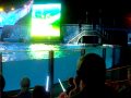 SHAMU SPLASH ZONE ATTACK