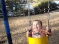 Shioh on Swing in Park