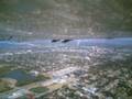 Baron B-58 Flight