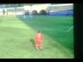 videos de RONALDO
