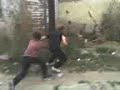 ultimate fight