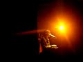 Maximilian Hecker-I am falling now