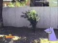 ¡ ay caramba !
