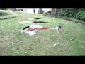 Picoo Z in Slow Motion
