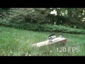 Picoo Z in Slow Motion