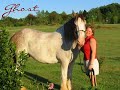 United States Equine Rescue League, Inc.