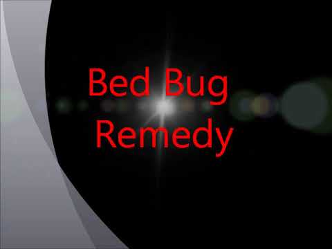 how to remove bed bugs from a bed