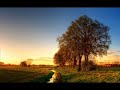 Howie day - in the sun