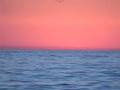 HEAR the Ocean Sunset - This Is Good For You - Relax
