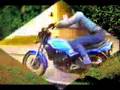 motorbikes