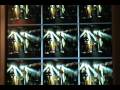 Car Full of Bobs - 3 Strange Days