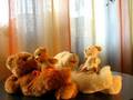 videos de MILUSIE
