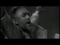 Zorba The Greek Dancing His Heart Out