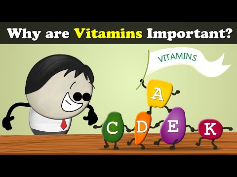 Why are Vitamins important? Thumbnail