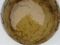 Eel Ladder Experiment
